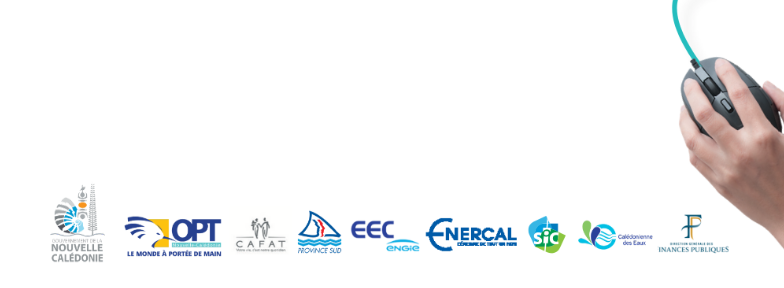 Partenaire Points Conseil Numérique (PCN)